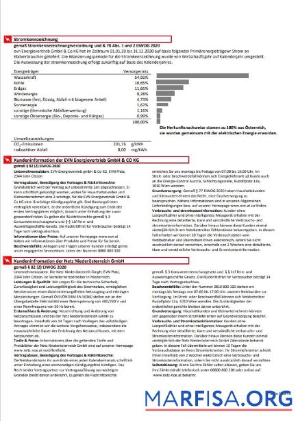 Blank Austria EVN electricity utility bill 5 download for verification